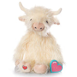 Highland Cow