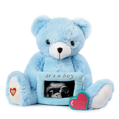 Gender Reveal Bear - Boy - Blue