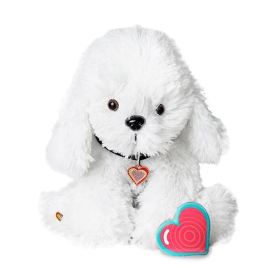 Dog - Bichon