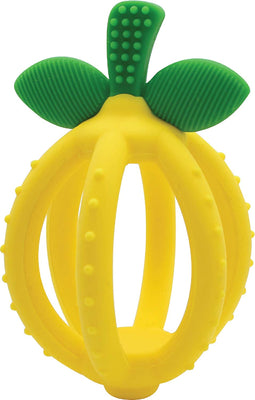 Bitzy Biter Teether Ball Training Toothbrush