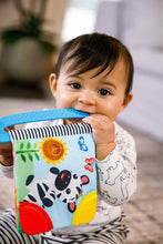 Load image into Gallery viewer, Baby Einstein Curious Explorers Teether Book