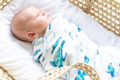 Florida Sea Turtle Muslin Swaddle